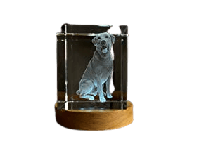 Pets Tower Kristall mit 3D-Gravur