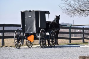 Poussette Amish