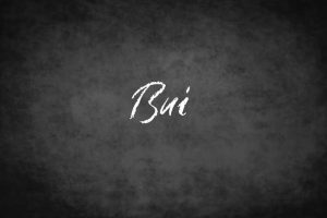 The last name Bui written on a chalkboard.