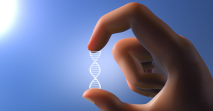 DNA一致の説明