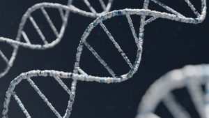 O que é teste de DNA genealógico?